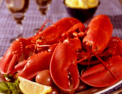 画像3: ”レッド”ロブスター・クラブクラッカー/Lobster and Crab Cracker