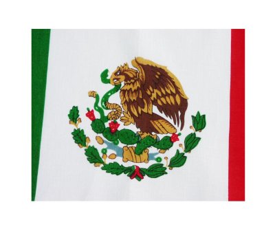 画像1: バンダナ（メキシコ国旗）/Bandana Mexican Flag