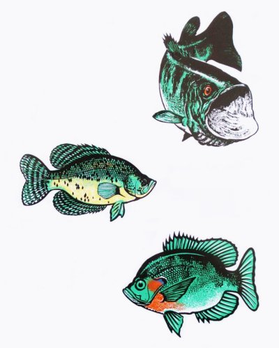 画像1: アウトドア仕様 防水ステッカー Bass Crappie Bluegill