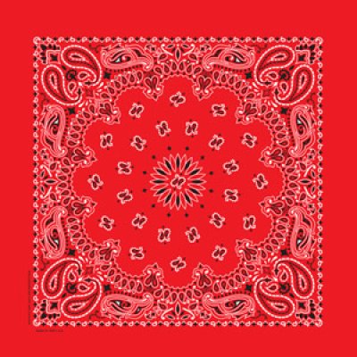 画像1: バンダナ ハバハンク HAV-A-HANK ペイズリー/Bandana Paisley