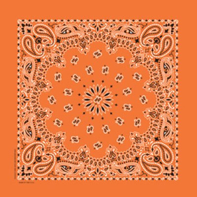 画像1: バンダナ ハバハンク HAV-A-HANK ペイズリー/Bandana Paisley