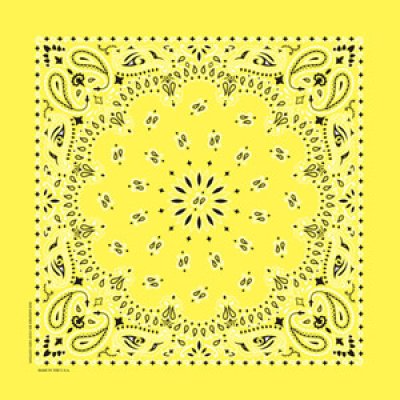 画像1: バンダナ ハバハンク HAV-A-HANK ペイズリー/Bandana Paisley