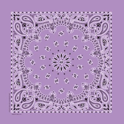 画像1: バンダナ ハバハンク HAV-A-HANK ペイズリー/Bandana Paisley