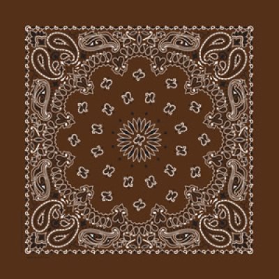 画像1: バンダナ ハバハンク HAV-A-HANK ペイズリー/Bandana Paisley