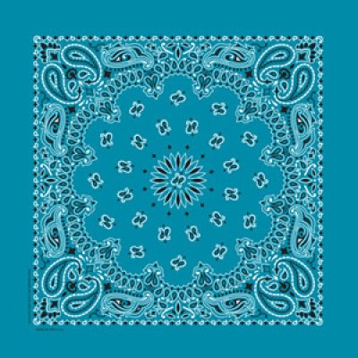 画像1: バンダナ ハバハンク HAV-A-HANK ペイズリー/Bandana Paisley