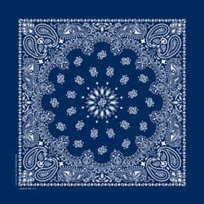 画像1: バンダナ ハバハンク HAV-A-HANK ペイズリー/Bandana Paisley