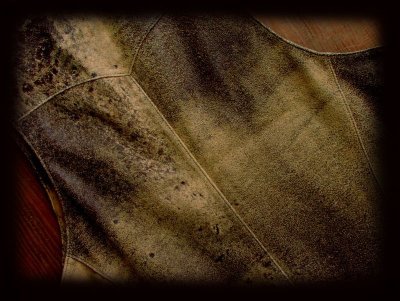 画像3: ウエスタン ラムレザーベスト（タン）/Western Lamb Leather Vest(Tan)