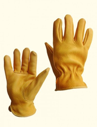 画像1: エルク鹿革・エルクスキン レザー グローブ（パインイエロー・裏地なし）L・XL/Elkskin Leather Gloves(Pine Yellow)
