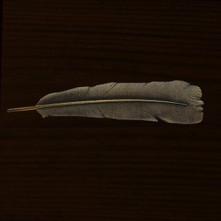 取っ手 キャビネットハンドル ブラス 鹿の角デザイン/Antler