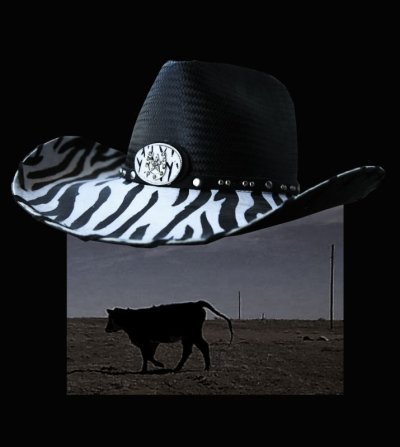 画像1: ゼブラストライプ ビル カウボーイ ストローハット（ブラック）/Cowboy Straw Hat