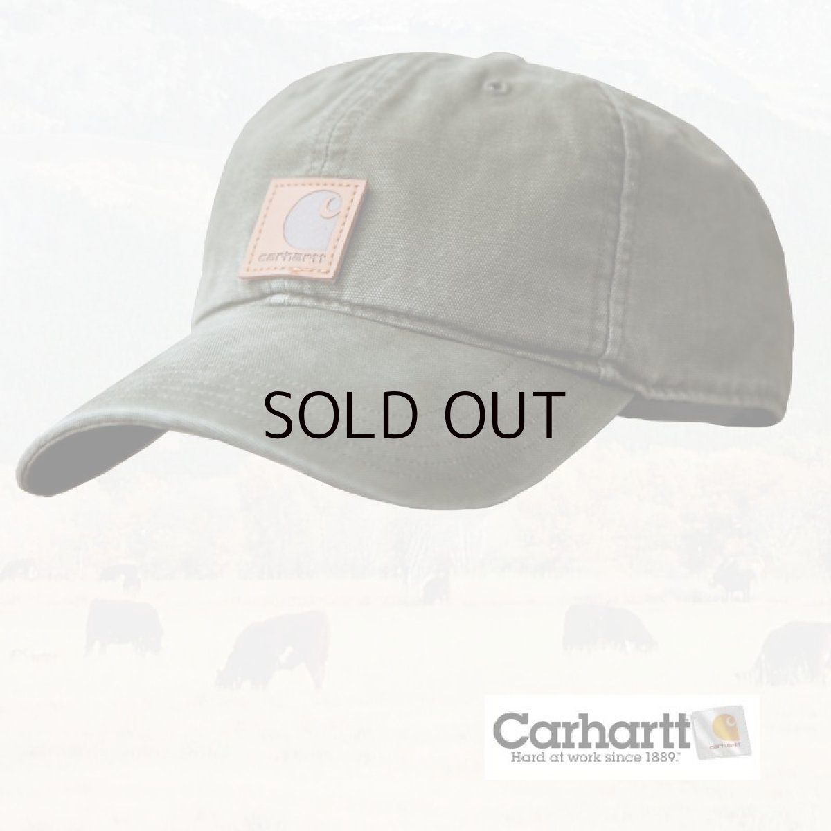 画像1: カーハート コットンダック キャップ/Carhartt Cap (1)