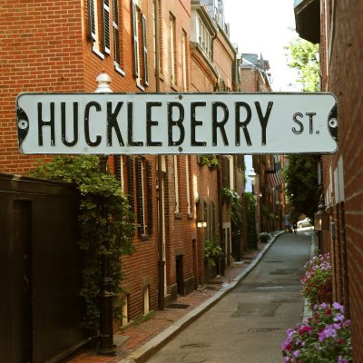 画像1: アメリカン ストリート サイン（HUCKLEBERRY ST.）/Street Sign