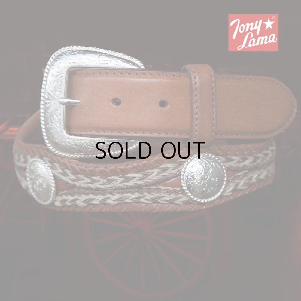 画像1: トニーラマ ホースへアー コンチョ ベルト（ブラウン）42/Tony Lama Mustang Scallop Belt(Brown) (1)
