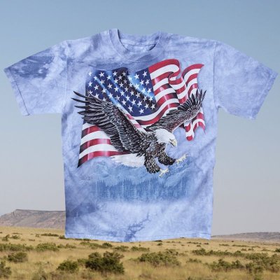 画像1: アメリカンイーグル＆星条旗 半袖Tシャツ（ライトブルー）/T-shirt 