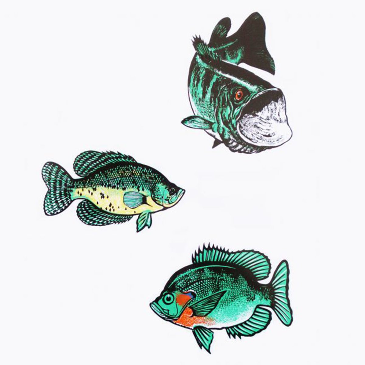 画像1: アウトドア仕様 防水ステッカー Bass Crappie Bluegill (1)