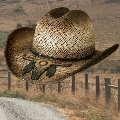 画像2: ブルハイド ウエスタン ストローハット カレイジャス（ブラウン）/Bullhide Western Straw Hat Courageous(Brown)