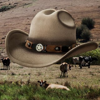 Renegade | Men's and Women's Western & Cowboy Hats – Fedoras.com