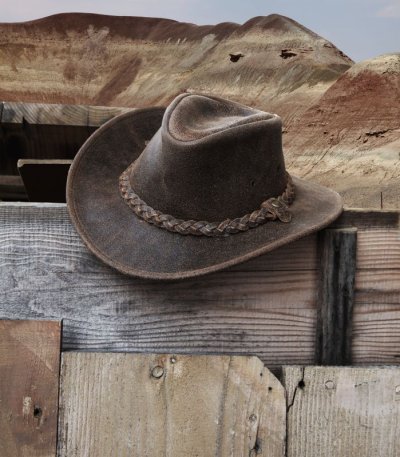 画像2: ヘンシェル ラスティック レザー ハット（ブラウン）/Henschel Leather Hat(Brown)