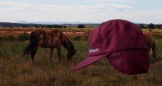 画像2: カーハート ロゴ イヤーフラップ キャップ（ワイン）/Carhartt Cap(Logo/Wine) (2)