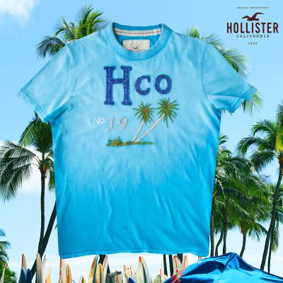 画像1: ホリスター パームツリー刺繍&アップリケ 半袖 Tシャツ ライトブルーL/Hollister Short Sleeve T-Shirt HCO NO.19