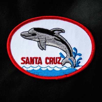 画像1: 刺繍 ワッペン カリフォルニア サンタクルーズ ドルフィン//Patch Dolphin