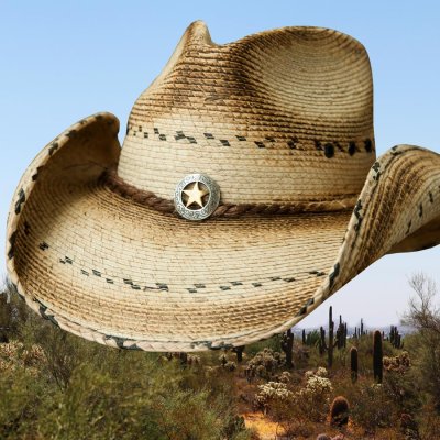 画像2: スター＆パーム ウエスタン ストローハット（ナチュラル）/Western Straw Hat（Natural)