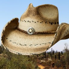 画像3: スター＆パーム ウエスタン ストローハット（ナチュラル）/Western Straw Hat（Natural) (3)