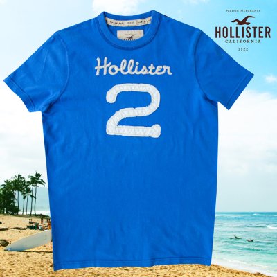 画像1: ホリスター アップリケ&刺繍 半袖 Tシャツ ブルーM/Hollister Short Sleeve T-Shirt Hollister 2