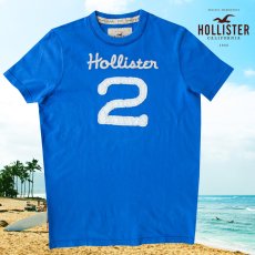 画像1: ホリスター アップリケ&刺繍 半袖 Tシャツ ブルーM/Hollister Short Sleeve T-Shirt Hollister 2 (1)