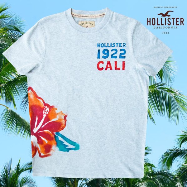 T L Hollister Short Sleeve T Shirt HOLLISTER 1922 CALI T