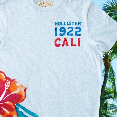 画像1: ホリスター 半袖 Tシャツ グレーL/Hollister Short Sleeve T-Shirt HOLLISTER 1922 CALI