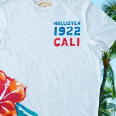 画像1: ホリスター 半袖 Tシャツ グレーL/Hollister Short Sleeve T-Shirt HOLLISTER 1922 CALI (1)