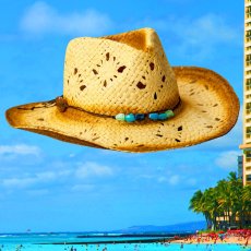 画像1: ストローハット（ナチュラル・マリンブルー）ハットサイズ調整テープつき/Western Straw Hat(Natural/Blue) (1)