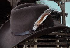 画像2: カウボーイハット用 フェザー 羽飾り（ダークブラウン・ホワイトターキー・ブラウンフェザー入り）/Feather (2)