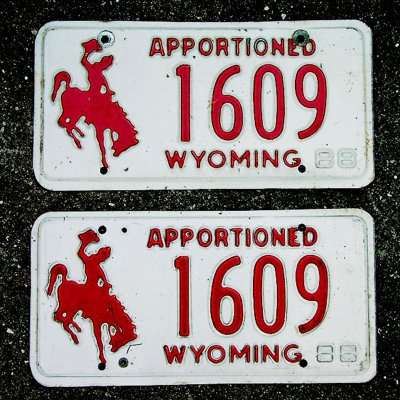 画像1: アメリカ ワイオミング州 ナンバープレート・カーライセンスプレート 同番2枚セット/Wyoming License Plates