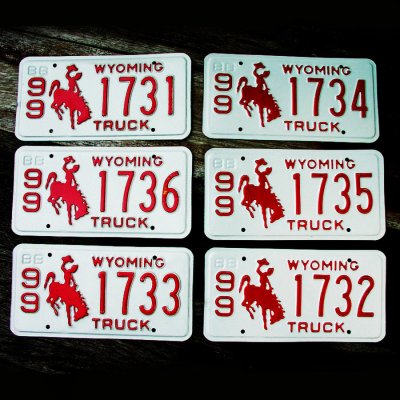 画像1: アメリカ ワイオミング州 ナンバープレート・カーライセンスプレート 連番6枚セット/Wyoming License Plates TRUCK