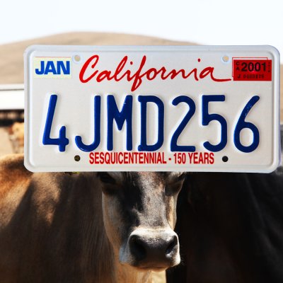 画像1: アメリカ カリフォルニア州 ナンバープレート・150周年記念 カーライセンスプレート/California License Plate SESQUICENTENNIAL-150 YEARS