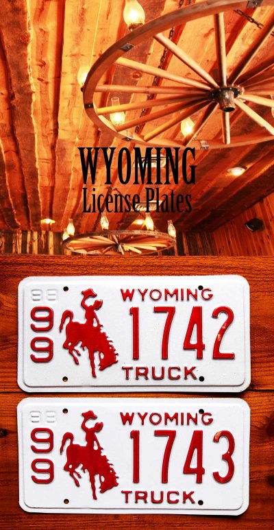 画像1: アメリカ ワイオミング州 ナンバープレート・カーライセンスプレート 連番2枚セット/Wyoming License Plates TRUCK