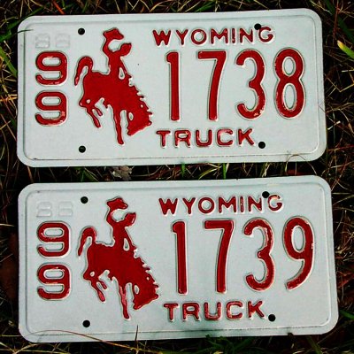画像1: アメリカ ワイオミング州 ナンバープレート・カーライセンスプレート 連番2枚セット/Wyoming License Plates TRUCK