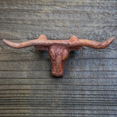 画像1: ウエスタン ウォールデコ ラストアイアン テキサス ロングホーン/Iron Wall Decor (Rust Texas Longhorn)