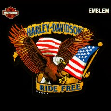 画像1: ハーレーダビッドソン アメリカンイーグル&アメリカ国旗 刺繍ワッペン/Harley Davidson American Eagle&U.S.Flag Patch (1)