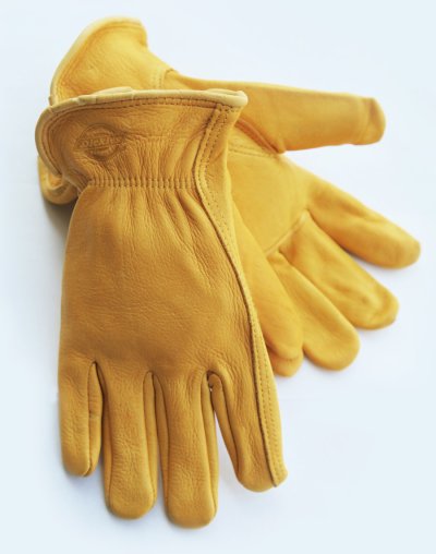 画像1: ディッキーズ ディアスキン グローブ（鹿皮手袋・裏地なし）M/Dickies Genuine Deerskin Leather Gloves(Pine Yellow)