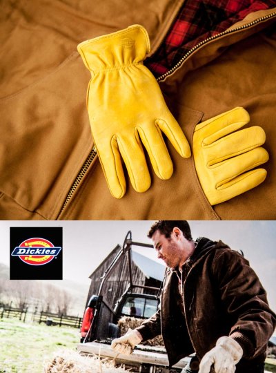 画像2: ディッキーズ 鹿革手袋 パインイエロー（裏地なし）M/Dickies Genuine Deerskin Leather Gloves(Pine Yellow)