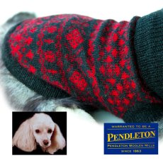 画像1: ペンドルトン ドッグ セーター（犬の服）レッド・ブラックS/Pendleton Dog Sweater(Red/Black) (1)