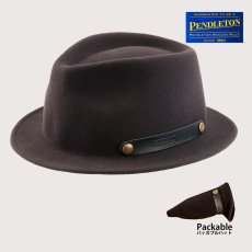 画像1: ペンドルトン ロールアップ スティンジーブリム ハット（ビーバーブラウン）/Pendleton Roll-up Stingy Brim Hat (1)