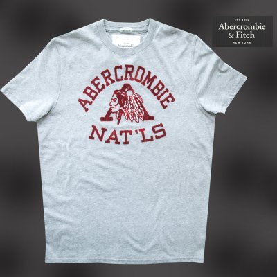 画像1: アバクロンビー＆フィッチ 半袖 Tシャツ（インディアン・グレー/バーガンディー）XL/Abercrombie&Fitch T-shirt