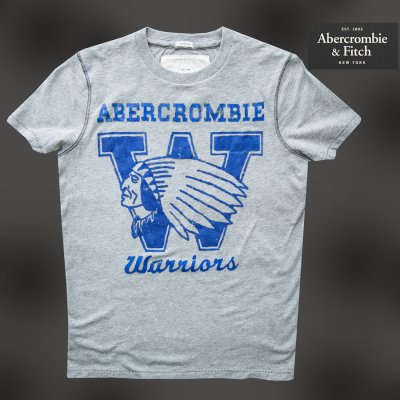 画像1: アバクロンビー＆フィッチ 半袖 Tシャツ（インディアン・グレー/ブルー）M/Abercrombie&Fitch T-shirt