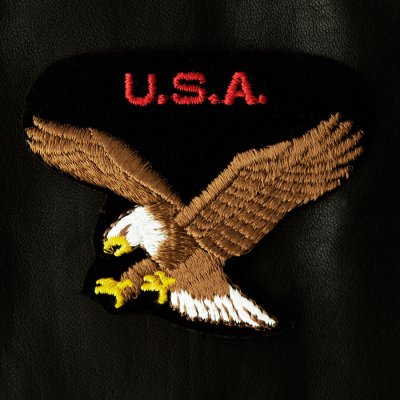 画像1: ワッペン U.S.A. アメリカンイーグル ブラック・ブラウン/Patch U.S.A  American Eagle