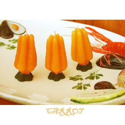 画像1: シトロネラ虫よけキャンドル・キャロット/Citronella Carrot Candle