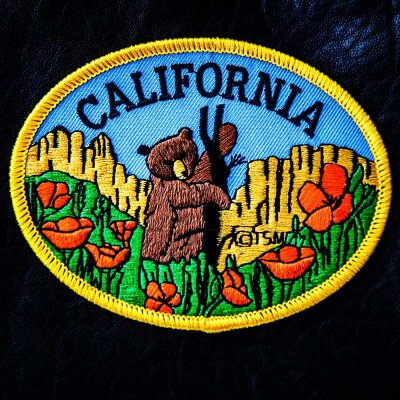 画像1: ワッペン カリフォルニア グリズリー&フラワー/Patch California